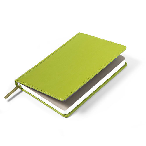 Ежедневник недатированный Campbell, формат А5,  в линейку (зеленое яблоко)