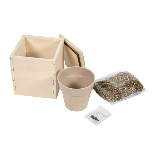 Горшочек для выращивания мяты с семенами (6-8шт) в коробке MERIN, биоразлагаемый материал, дерево (бежевый)