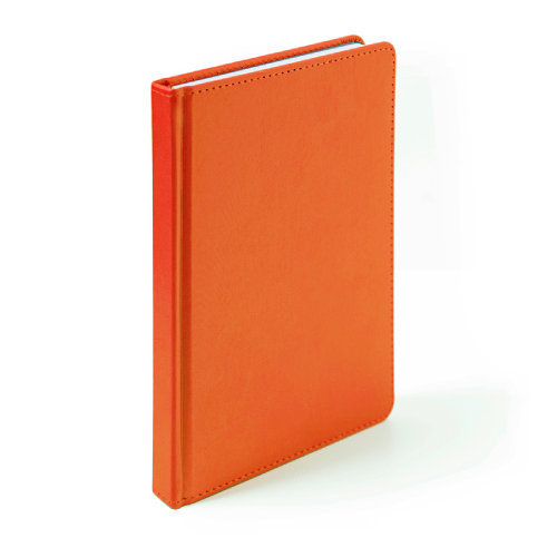 Ежедневник недатированный Campbell, формат А5,  в линейку (оранжевый)