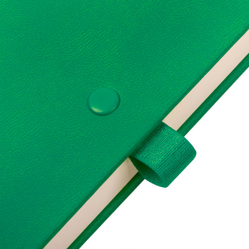 Ежедневник недатированный Hamilton, формат A5, в линейку (светло-зеленый)