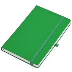 Бизнес-блокнот  "Silky", формат А5,  обложка твердая,  блок в клетку (зеленый)